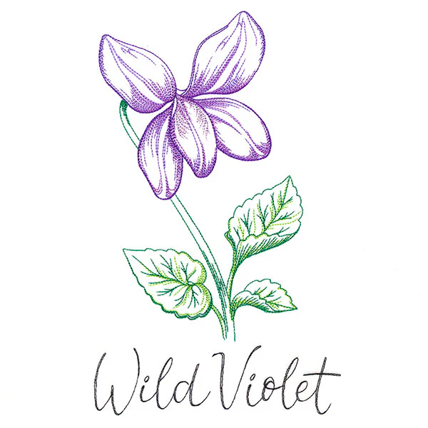 Wild Blooms - Wild Violet - Image 5