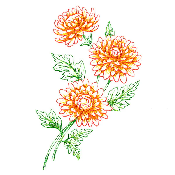 Wild Chrysanthemum Bouquet - Image 3