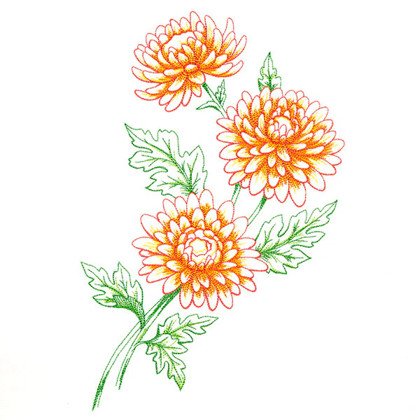Wild Chrysanthemum Bouquet - Image 9