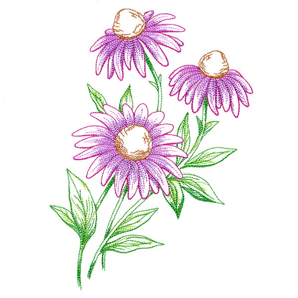 Wild Coneflower Bouquet - Image 2