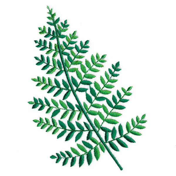 Wild Fern 1