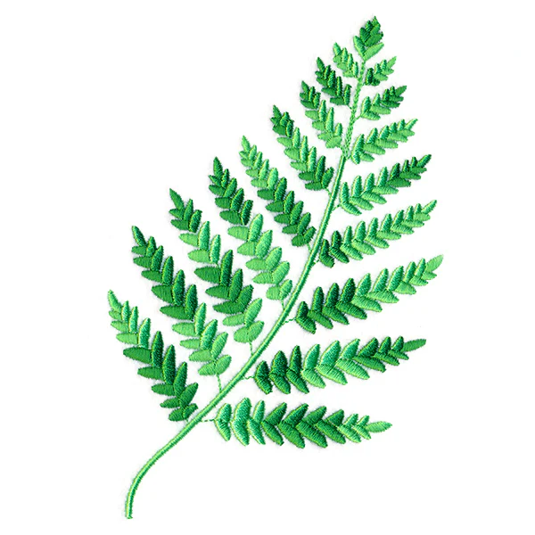 Wild Fern 2 - Image 7