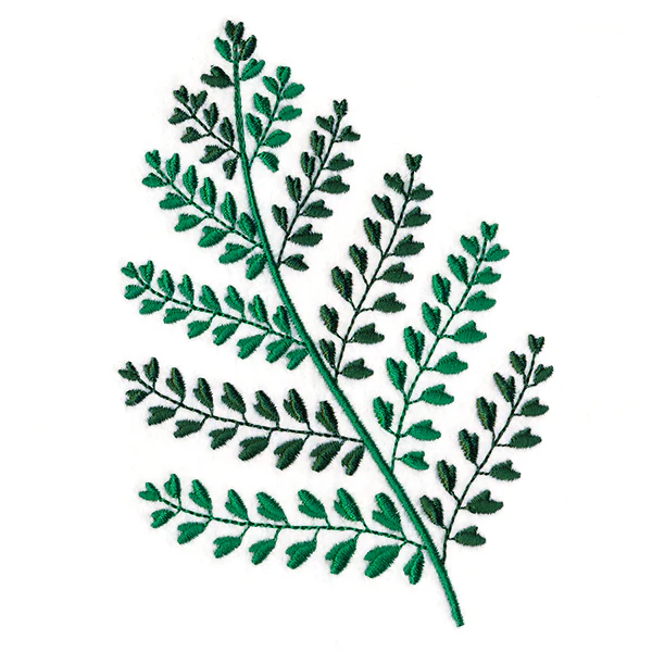 Wild Fern 3
