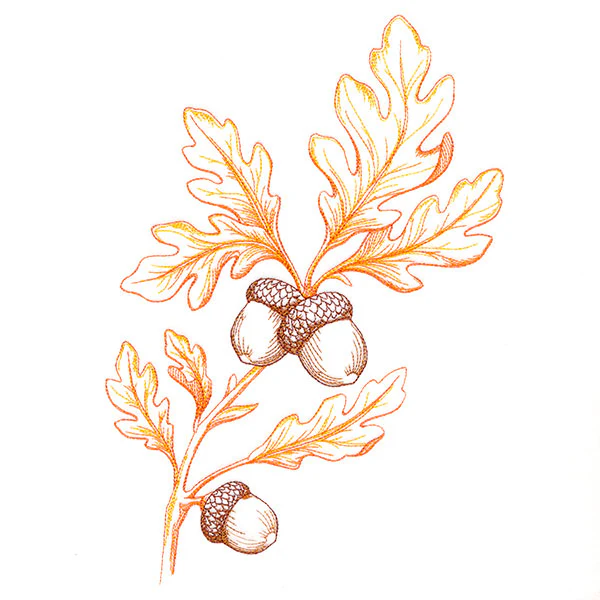 Wild Oak Leaf Bouquet