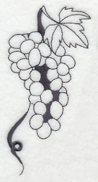 Wine Grape Bunch 1