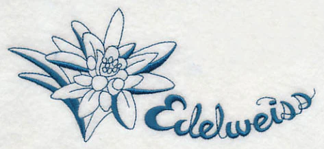 Winter Garden Edelweiss